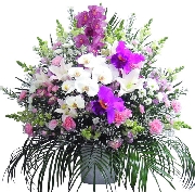 洋花　25000.jpg