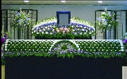 12尺2段　ＫＹ0152.jpg