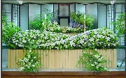 12尺2段　Ｙ0152.jpg
